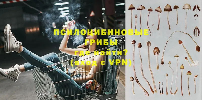 Галлюциногенные грибы мухоморы  Бежецк 